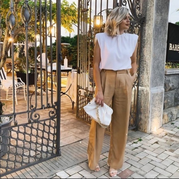 Zara Pleated Wide Leg Pants - Picture 11 of 16